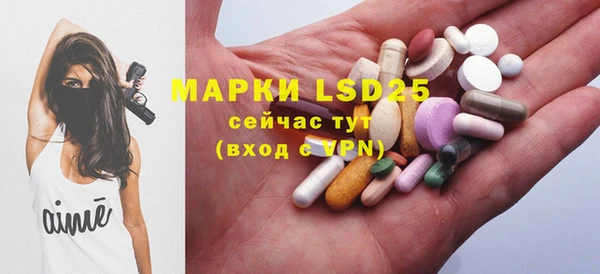 mdpv Бородино