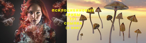 трава Богданович