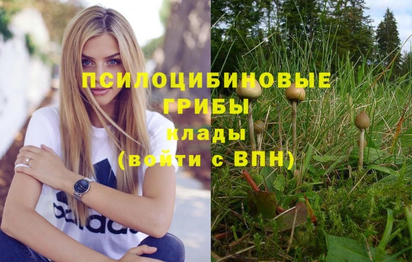 эйфоретик Балабаново