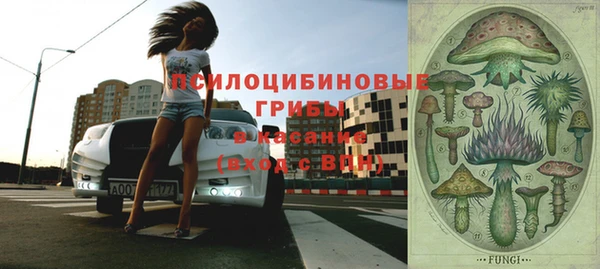 трава Богданович