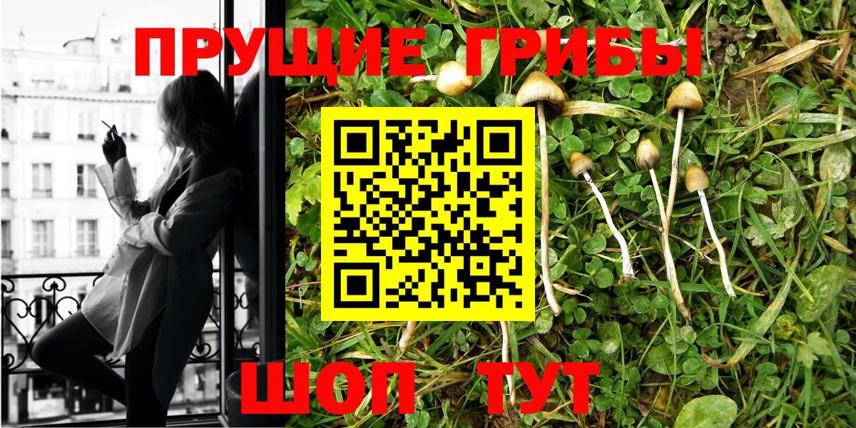 Псилоцибиновые грибы Psilocybe  Вход с VPN  Верхняя Салда 