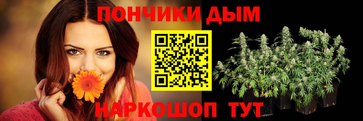 МАРИХУАНА тримм  Бошки марихуана индика  Каннабис Bruce Banner  Верхняя Салда  Канабис план  Вход с VPN 